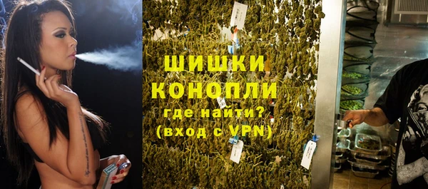 прущие грибы Осташков