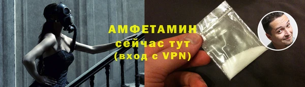 прущие грибы Осташков
