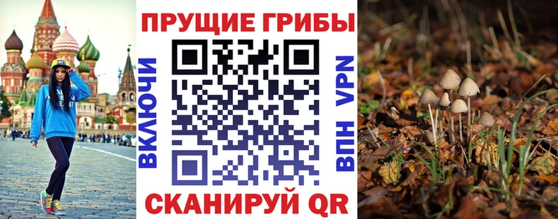 купить наркоту Севастополь Галлюциногенные грибы ЛСД