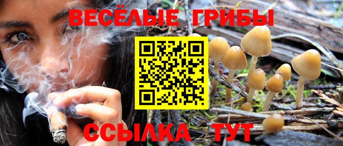 Галлюциногенные грибы Psilocybe  Вход с VPN  Севастополь 