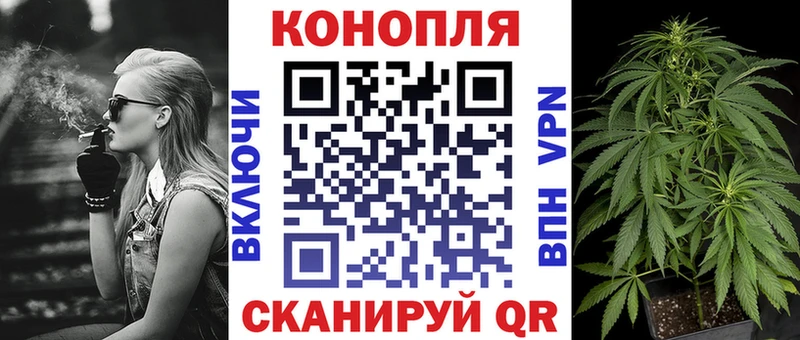 Канабис OG Kush  Севастополь 