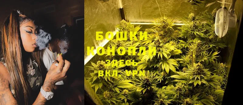 Марихуана Amnesia  продажа наркотиков  Севастополь 