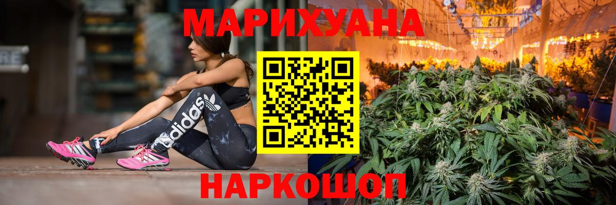 Бошки Шишки конопля Севастополь